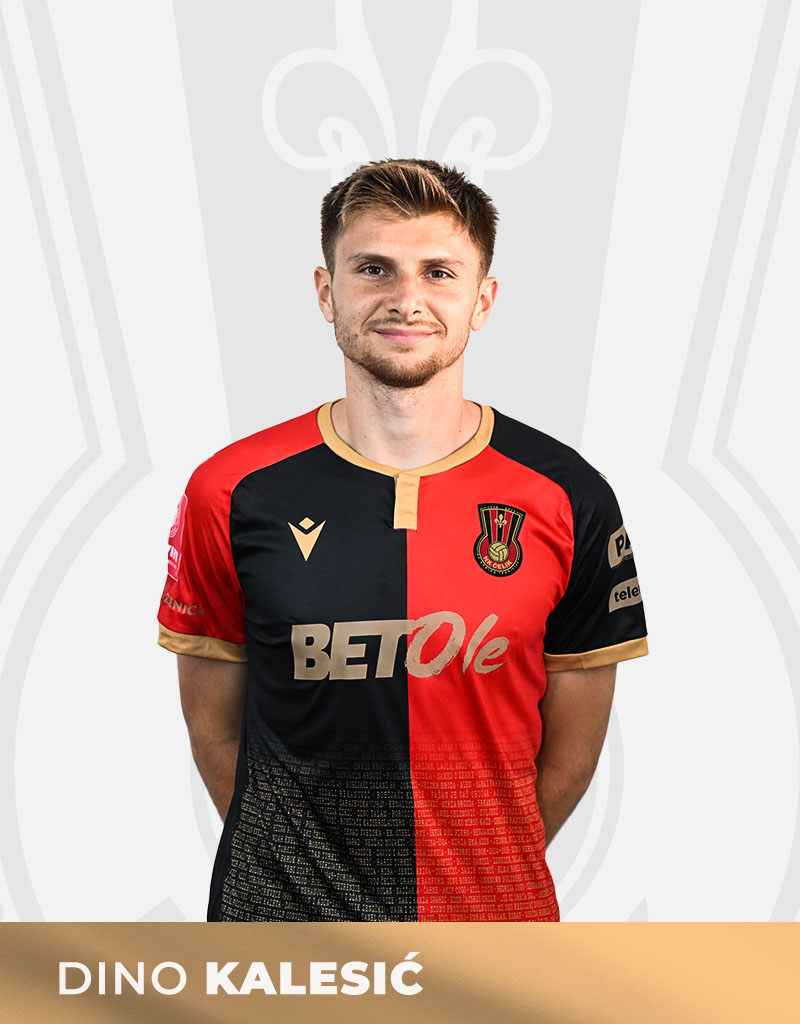 KALESIĆ