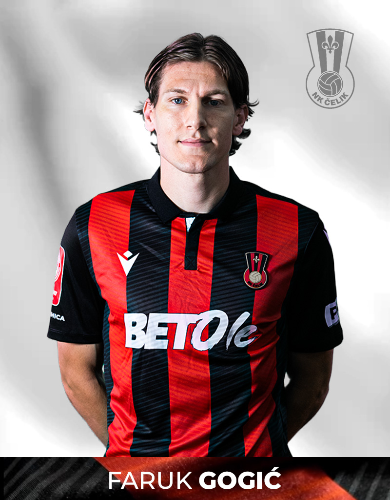 faruk gogić