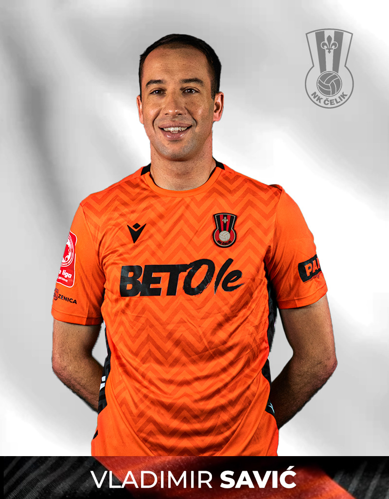 vladimir savic